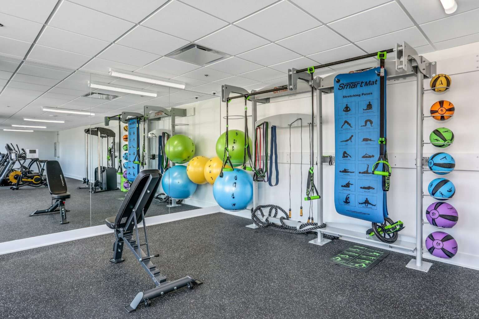 Apartments in Royal Oak Amenities The Roy Apartments